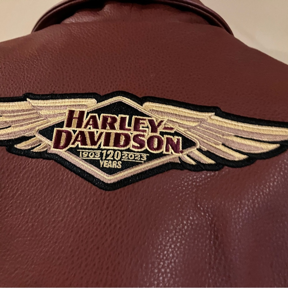 Size medium women’s Harley Davidson leather jacket 600 dollar jacket tags on it